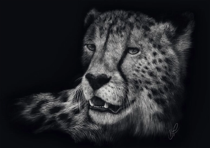 Puzzel snelheid van de cheeta 1000 stukjes SCHMIDT