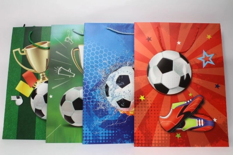 Cadeautas Geschenkzakje formaat L