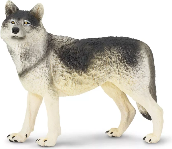 Figurine van de grijze wolf Safari Ltd. - 1 stuk