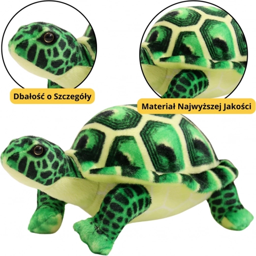 Pluchen Schildpad Groene Speelgoed 25cm