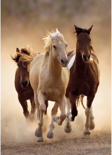 Diamantschilderen – paarden in galop 30 × 40 cm - 1 stuk