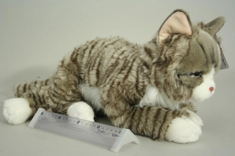 Pluchen kat 37 cm