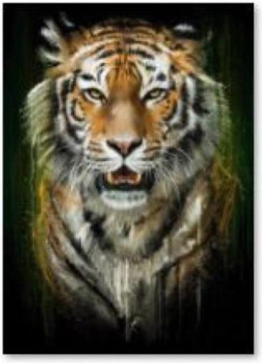 Diamantborduren (diamond painting) tijger - 30 × 40 cm