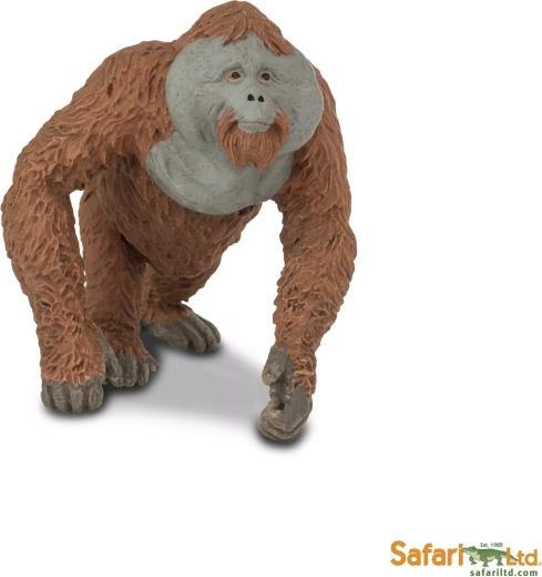 Safari Ltd. orang-oetan - mannetje