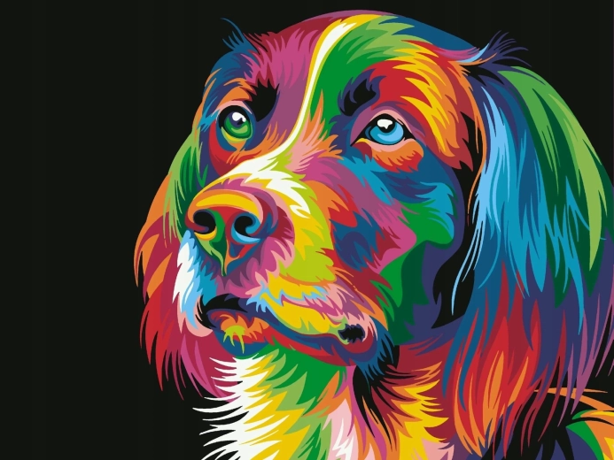 Norimpex Schilderen op nummer Kleurrijke hond 40 × 50 cm