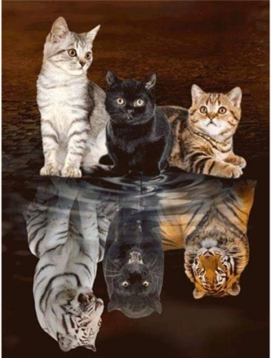 Diamantborduren (diamond painting) weerspiegeling in de spiegel – drie katten 30 × 40 cm - 1 stuk