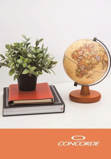 Notitieboek A5 geruit, 100 vellen CONCORDE