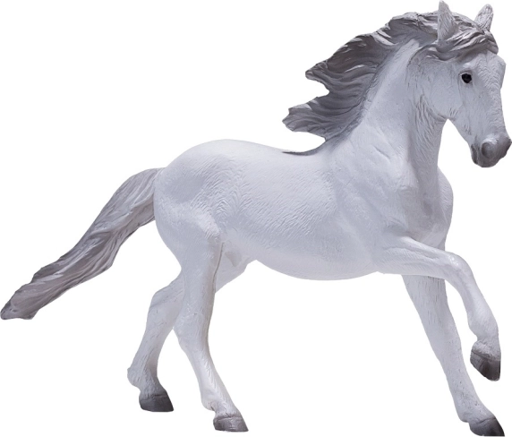 Mojo Lusitaanse paard wit