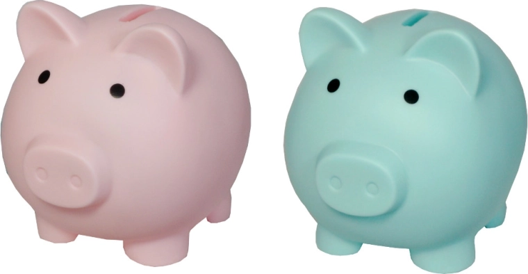 Spaarpot in de vorm van een varkentje