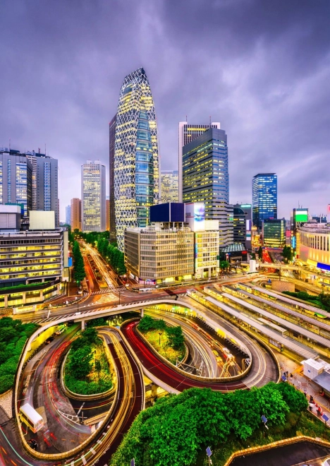 Puzzel Nishi-Shinjuku, Tokio 1000 stukjes