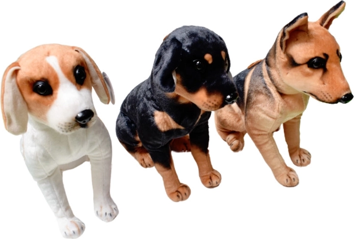 Pluchen hondje – rashond staand