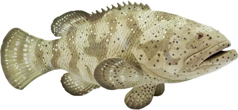 Safari Ltd. kanic itajara figuur - 1 stuk