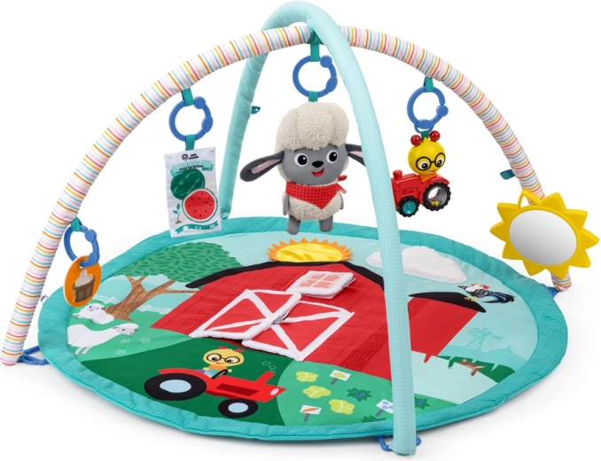 Baby Einstein Happy Harvest Touch & Feel speelmat met speelbogen