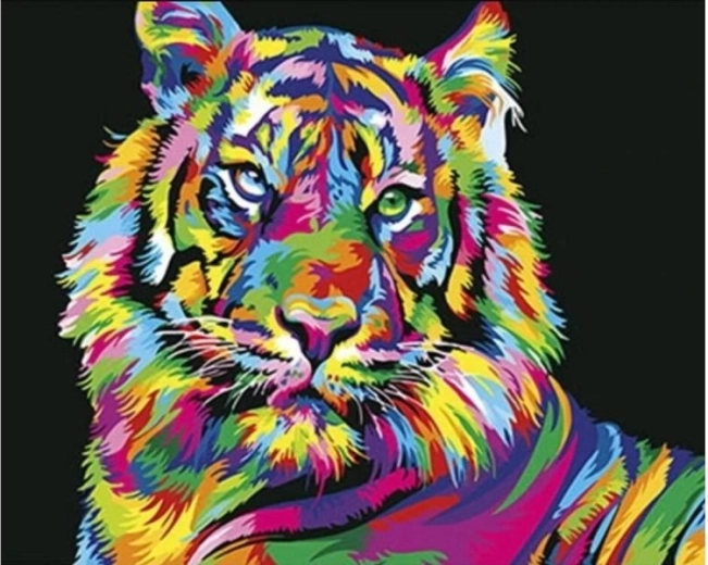 Schilderen op nummer op canvas in lijst 50 × 40 cm – kleurrijke tijger