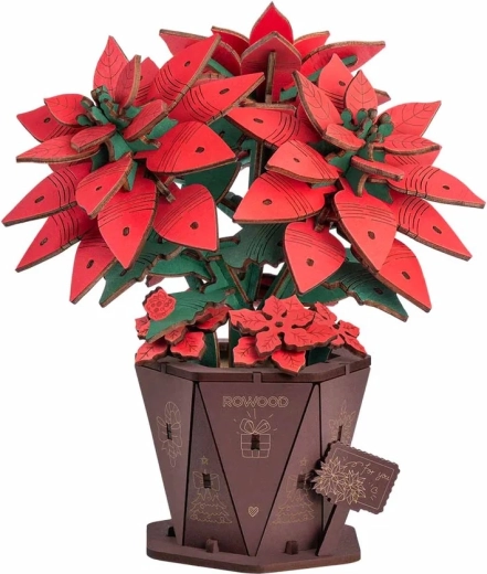 RoboTime 3D houten bouwpakket kerstster