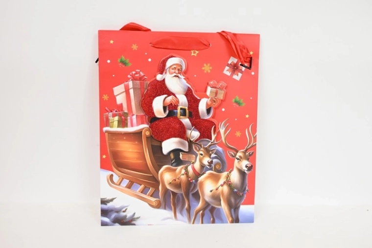 Cadeautas met feestelijk motief, maat M