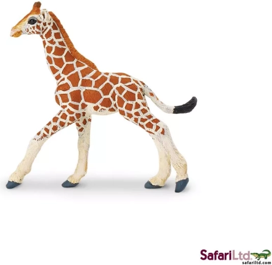 Safari Ltd. jong van de netgiraf