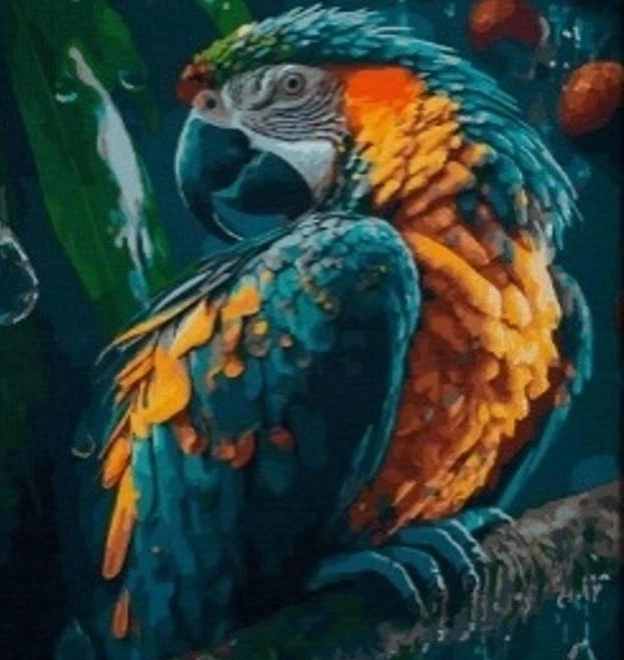 Diamantschilderen Papegaai 30x40 cm