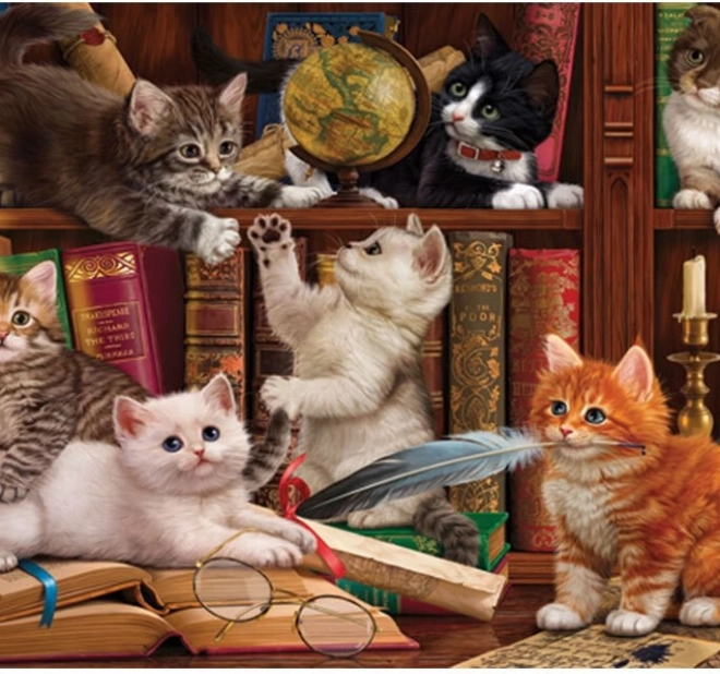 Puzzel Katjes in de bibliotheek 500 stukjes