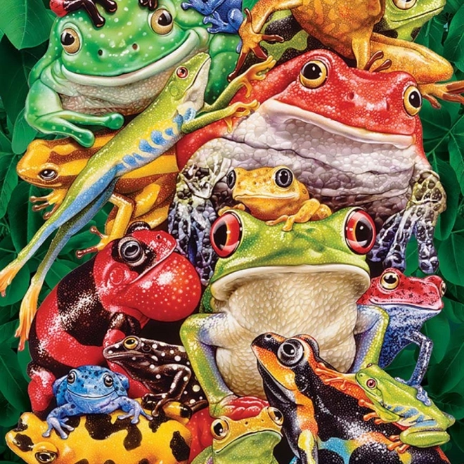 Puzzel Zakelijke Kikker 1000 Stukken