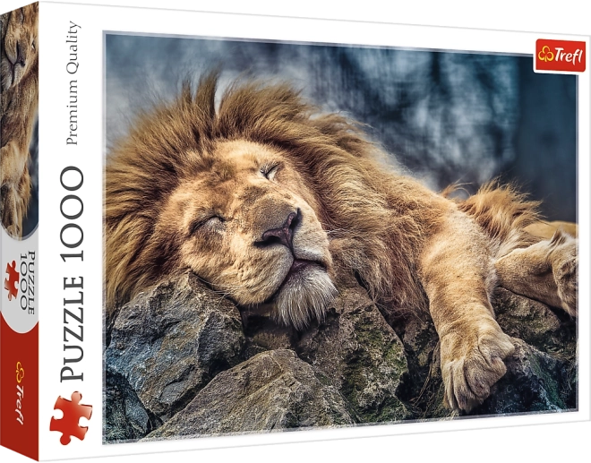 Puzzel 1000 stukjes Slapende Leeuw