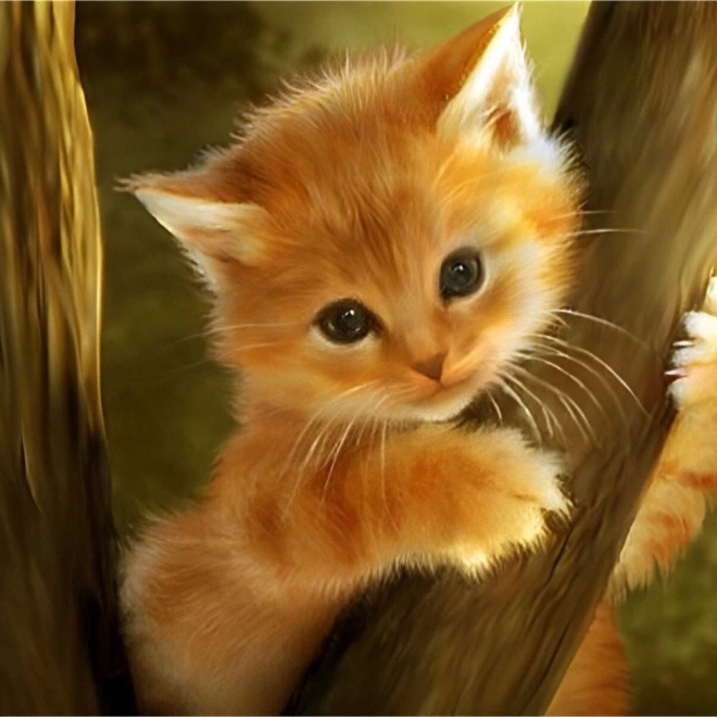 Diamantschilderij - Kitten in de boom 30x40 cm