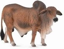 Rode Brahmaanse stier