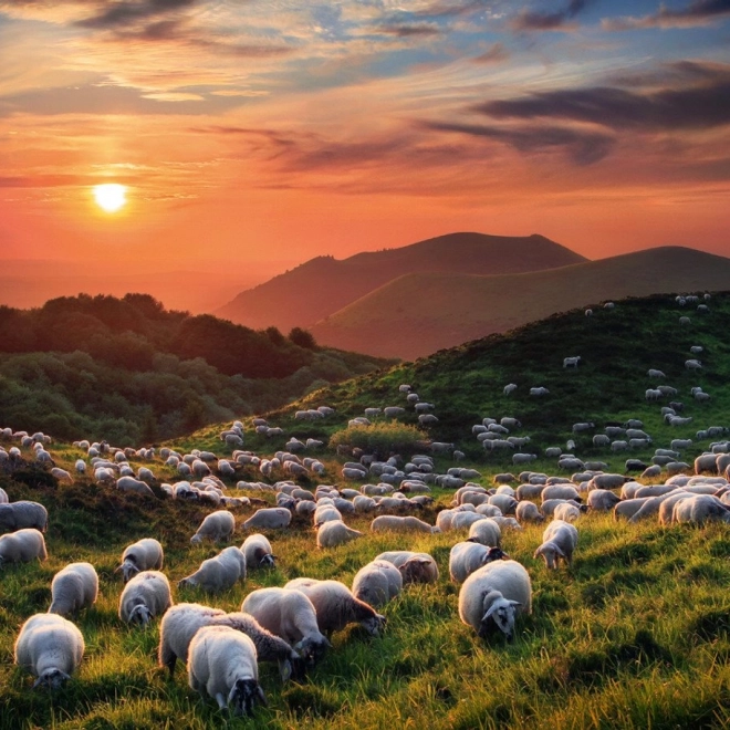 Puzzel 1000 stukjes Schapen en Vulkanen