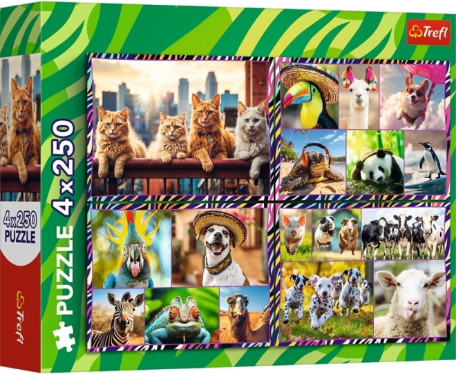 Puzzel 4×250 stukjes Vrolijke Dieren