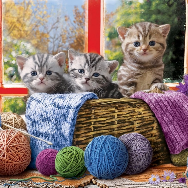 Puzzel Breiende Kittens XL 500 stukjes