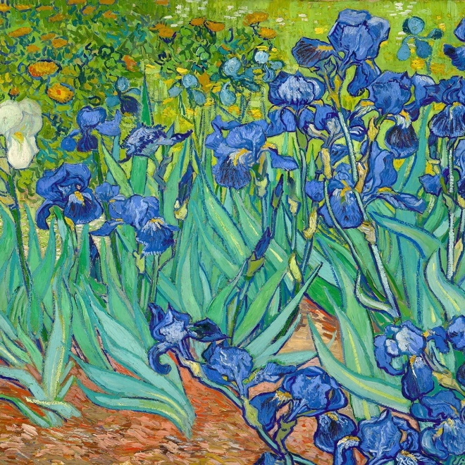 Geniet van de Vincent Van Gogh puzzle: Irissen 1000 stukjes