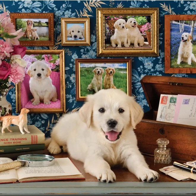 Puzzel Labrador 500 stuks
