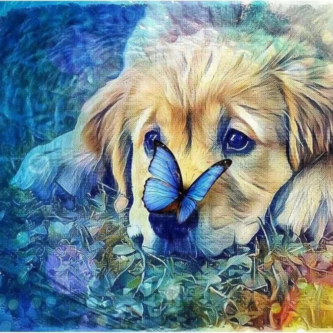 Diamond painting – hond met vlinder 30 × 40 cm