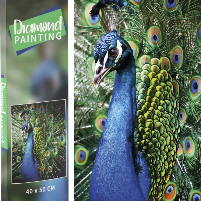 Grafix diamond painting – pauw 40 × 50 cm