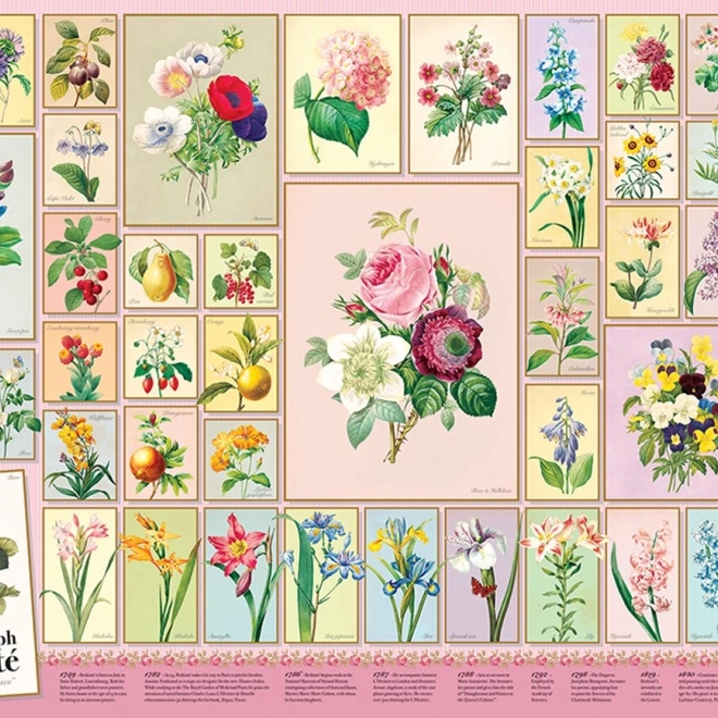 Puzzel Pierre-Joseph Redouté 1000 stukjes van Cobble Hill
