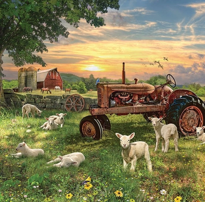 Puzzel Veld bij zonsopgang van Cobble Hill 1000 stukjes