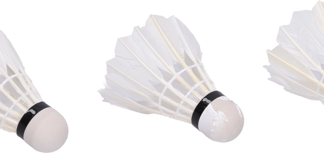 Badminton shuttles wit