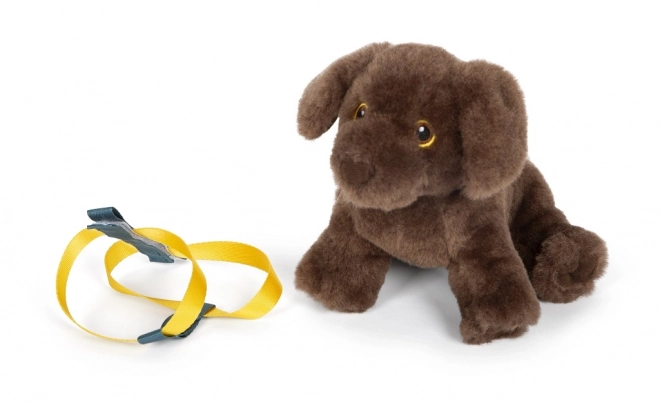 Small foot Pluchen Hond met Verzorgingsset