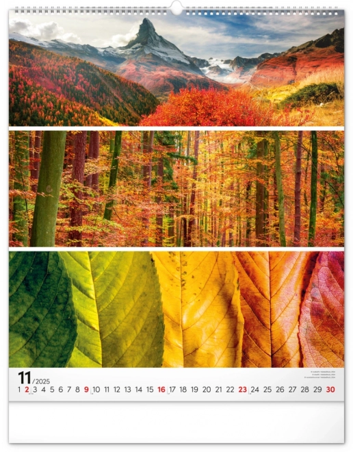 NOTIQUE Muurkalender Palet 2025, 48 x 56 cm