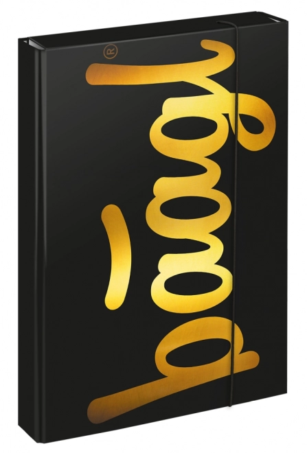 Mappen voor schoolschriften A4 Jumbo Gold