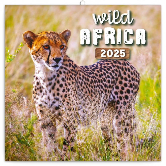 Notitiekalender Wilde Afrika 2025, 30 × 30 cm