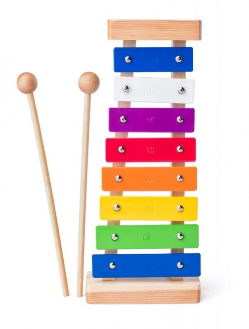 Metalen cimbaal 8 tonen - Woody