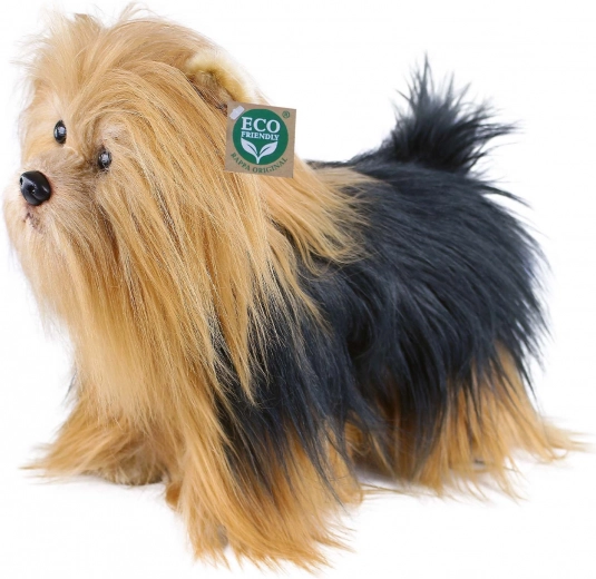 Realistische lange vacht en schattige details