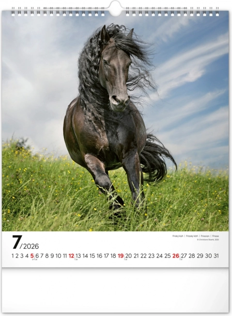 Wandkalender Paarden 2026