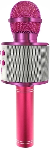 Bluetooth karaoke overal