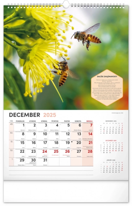 NOTIQUE Muur Bijenteelt Kalender 2025, 33 x 46 cm