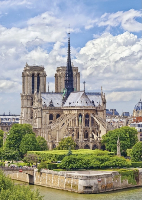 Puzzel 1000 stukjes Notre-Dame van Dino