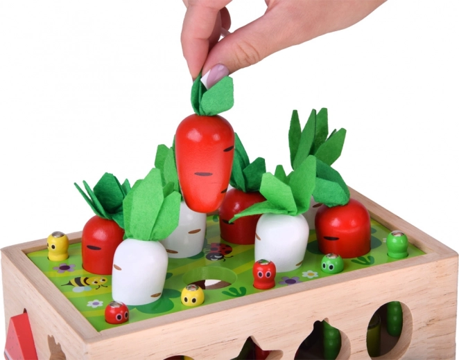 Oogst van wortels en radijsjes met vilten loof