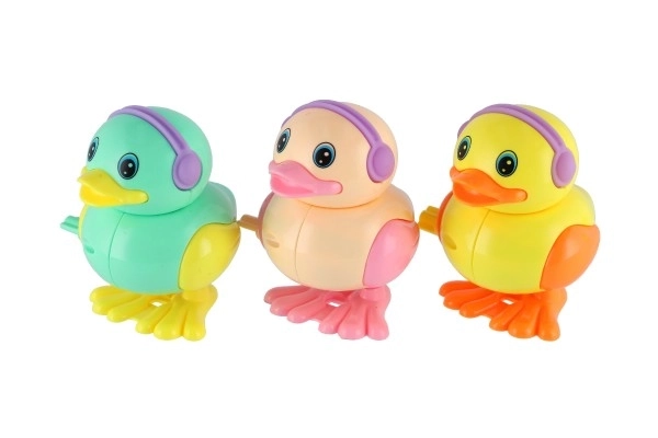 Springende plastic eend op veer