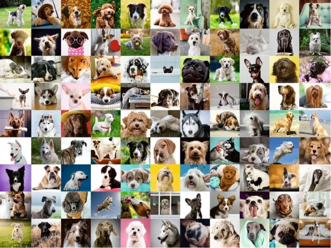 RAVENSBURGER Puzzel 99 schattige honden XL 750 stukjes